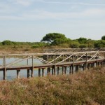 phoca_thumb_l_PortoCaleri_11