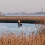 IMG_0306_2_2