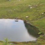 Cavallo si specchia sul Lago di Valsorda