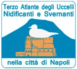 logo napoli